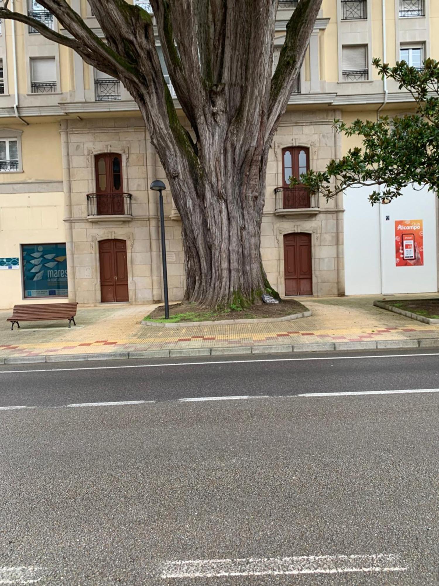 Mansion Del Indiano Apartment Viveiro Luaran gambar